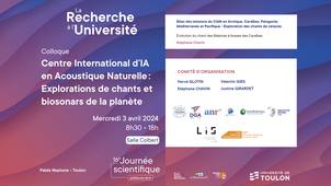 Évolution du chant des Baleines à bosses des Caraïbes - Stéphane Chavin