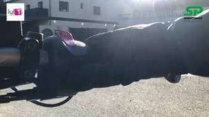 Stage BUT 1 - DALMASSO Alexis