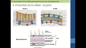 B35-Microbiologie-chapitre2