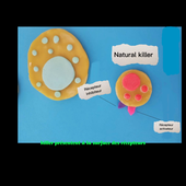 système immunitaire