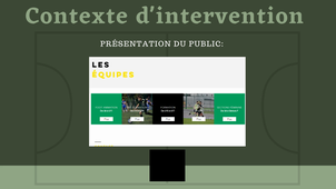 MOREL Serena Rapport de stage S4