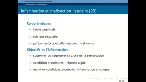 B65 - Immunologie 2 - Les inflammations chroniques 