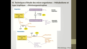 B35-Microbiologie-chapitre1-III