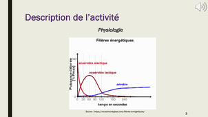 rapport de stage 2ème semestre ASCOLETTI ROMAIN - G26
