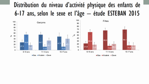 TD4 correction - l'activité physique tout au long de la vie
