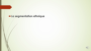 SEANCE 5- Chapitre 5- le plan de marcheage a l'international