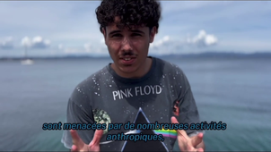 SAE43_L2SVSEGE6_teaser.MOV