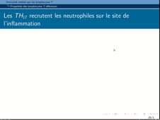 B46 - chapitre 3 - Réponse cellulaire adaptative (T)