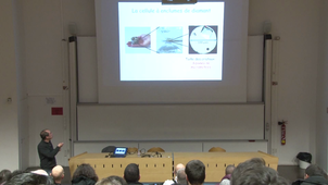 Une lumière pour voyager au coeur des planètes