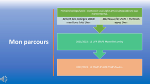 Rapport de Stage L2 ES Bermon esteban
