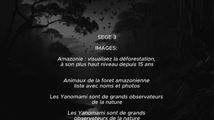 L2SV-SEGE3 Teaser Amazonie à l'Agonie.mp4