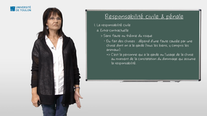 Responsabilité civile extra-contractuelle sans faute du fait des choses