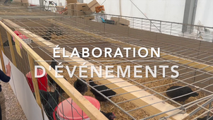 Stage BUT 2 - Caffi Margaux