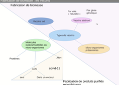B44 - Chapitre 1 - séance 3