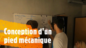 Etude biomécanique des palmes d'apnée - projet 1A, 2A et 3A SeaTech / Cosmer