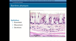 B46 - chapitre 2 - Immunologie I