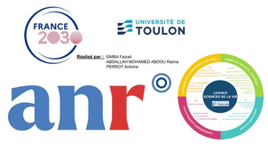 Résistance aux antibiotiques