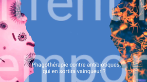 Phagothérapie-BOUTAIBI-de SAUVAGE-DOUGUET-VALENTE-SAE43&411.mp4