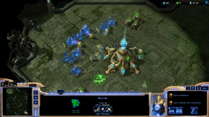 Canon rush Lucas Segura L3