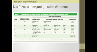 B35 - Chapitre 3 - Cycles biogéochimiques