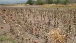 Le réchauffement climatique