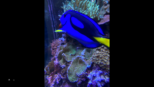 Voyage San Francisco-Mars 2020