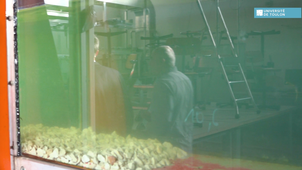 Master MIR : Ricard Marxer, coordinateur master MIR Université de Toulon