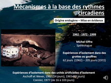 Physio7 L3 STAPS- Cycle veille sommeil - CM commenté