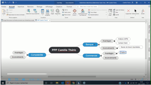 Présentation MindView par Camille Théric pour le dossier  PPP et le rapport de stage.