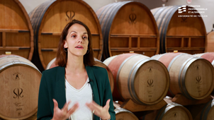 Travailler dans l’œnotourisme et la valorisation des produits du terroir durable : le Château Sainte Roseline