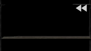 Régnier Marie Mémoire 1er semestre 2023-2024