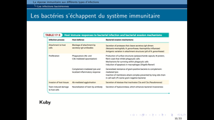 B46 - Chapitre IV -Complement