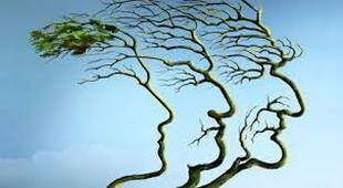 L3 APAS - Vieillissement normal, 