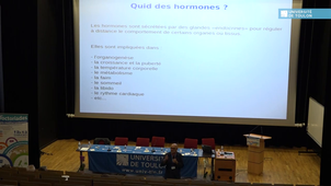 Conférence 