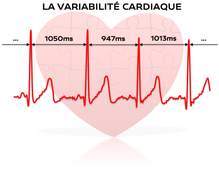 M2 - EOPS - La Variabilité de la Fréquence Cardiaque - Applications - Cours d'introduction