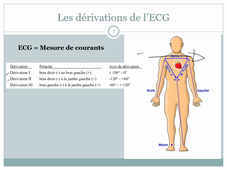 Préparation aux TP 1