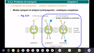 Cours B11_n°13_09 11 2020