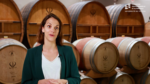 Portraits d’anciens étudiants : Marie FLEURY : chargée Marketing et Œnotourisme au Château Sainte Roseline