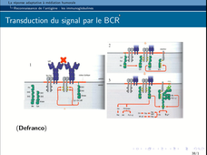 B46 - Cahpitre 3 - Activation des B vidéo 1