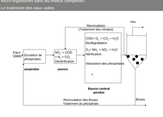 B44 - Chapitre 1 - séance 4