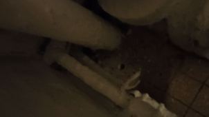 2020-10-08 19h03mn15s - video des toilettes hommes et du couloir 1er etage du bâtiment A