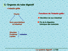 Physiologie digestive vidéo de la partie 3 sur 4