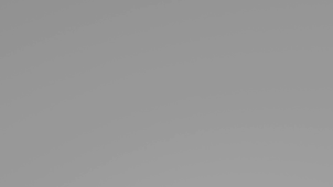 Animation_logo_Caignard_Salomé.mp4