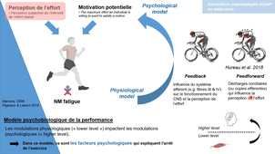 CM 3 - Potentiel Endurance L3 ES
