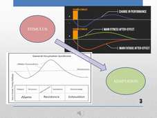 Théorie Football TD4 deuxième partie