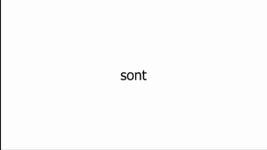 Version finale vidéo paléo