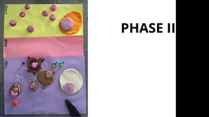 Vidéo_immunologie_GATIER_LEMANACH_ANDRIEU_BOISSONNET.mp4