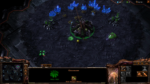 Starcraft 2 : WoL. 8 Pool contre un IA élite