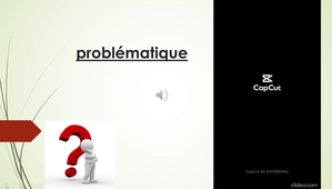 power point commente l2ES daniel.mp4