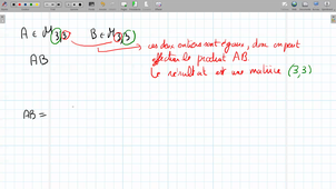 L1ECO - TD - Exercice 1.1 (produit de matrices)